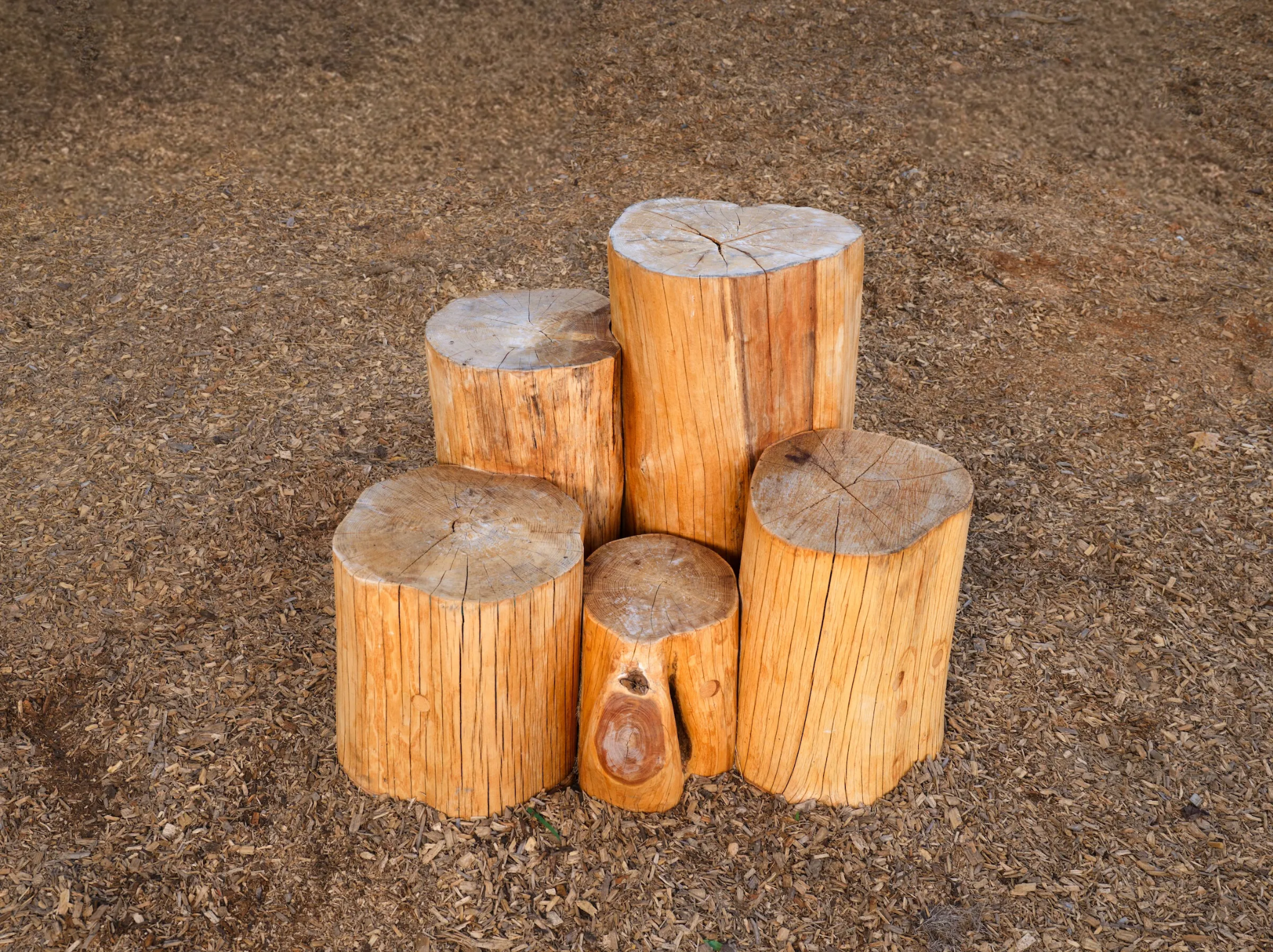 WholeTrees® Image 2