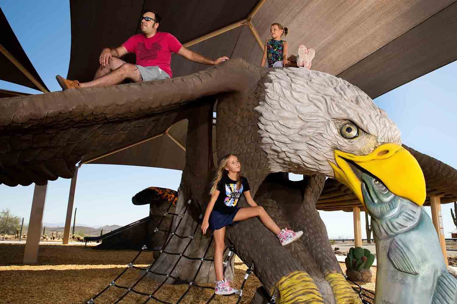 custom eagle playground custom eagle playground
