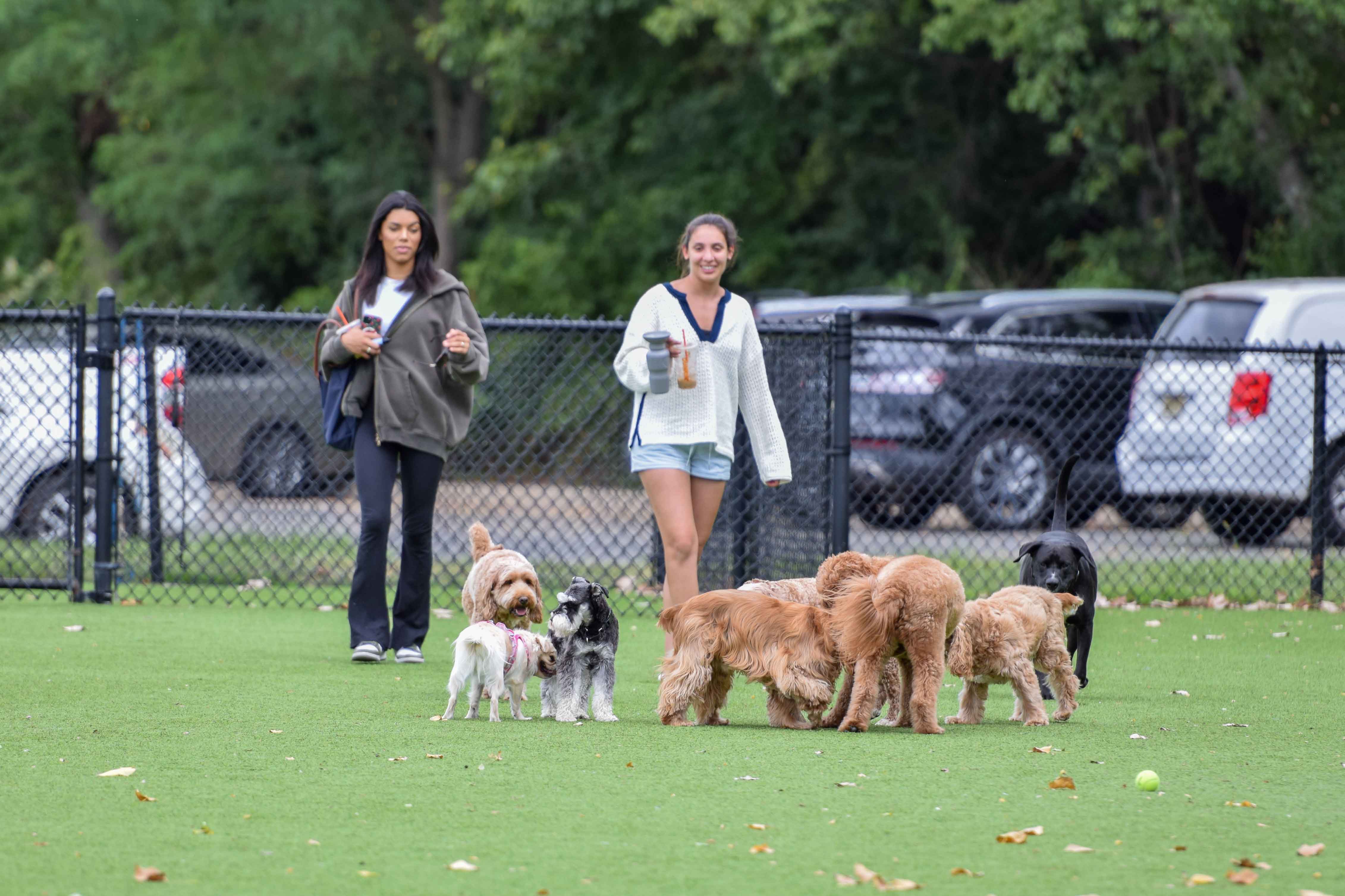 reduced-DSC_0409