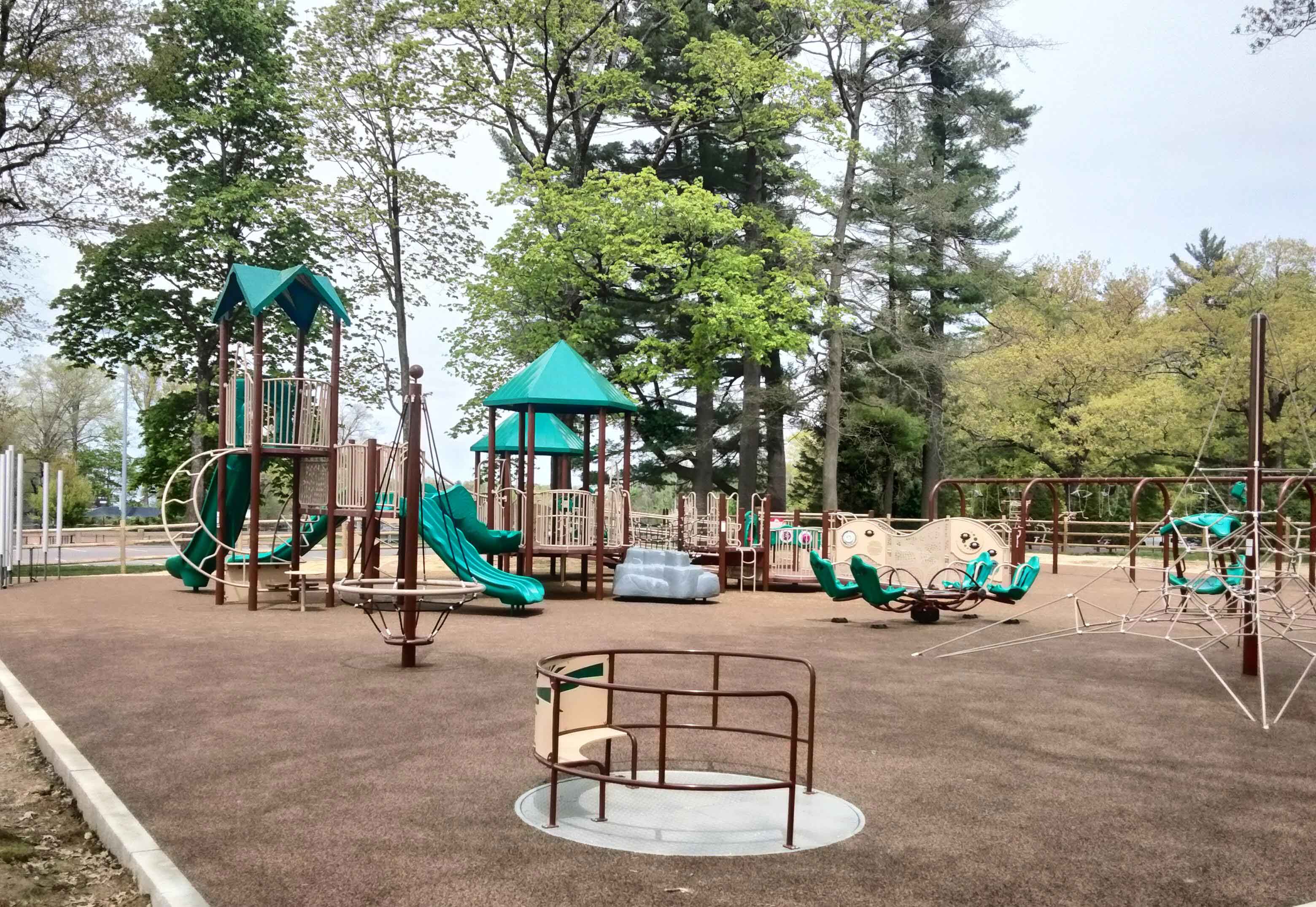 reduced-IMG20260429131858