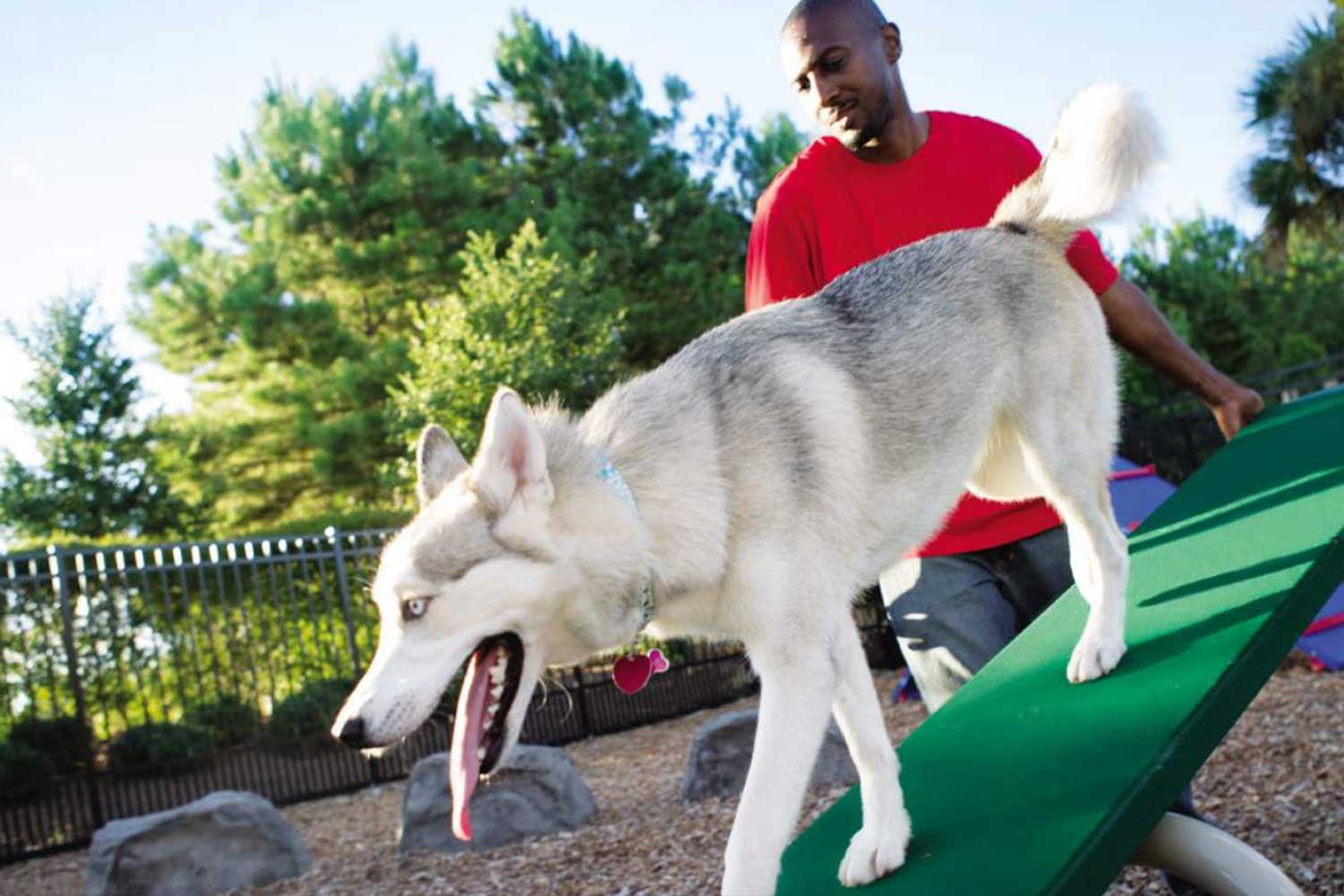Bark Park Catalog Dog Park Equipment Brochure MRC Recreation