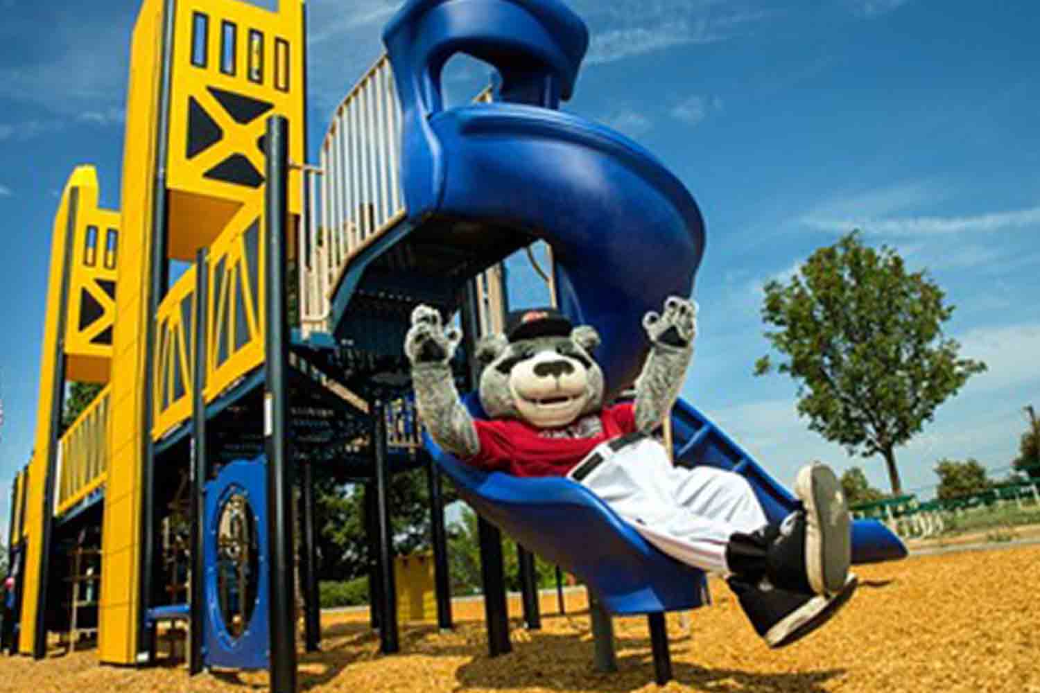 mascot on custom playground mascot on custom playground